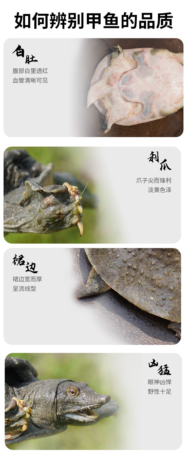 和万安|生态农业|有机食物|绿色食物|稻田共养