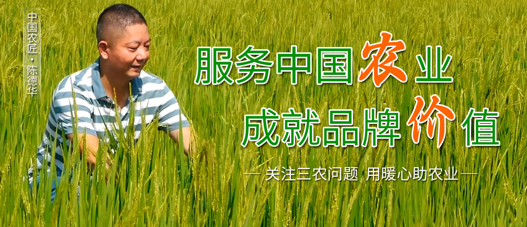 天博体育官方平台(中国)官网入口