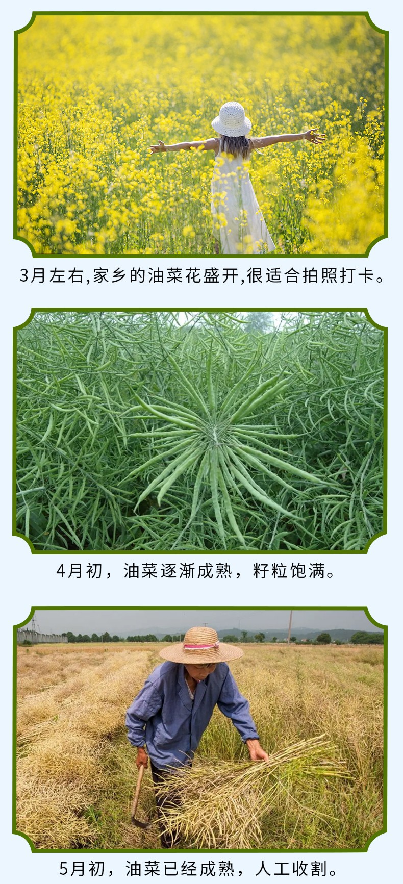 和万安|生态农业|有机食物|绿色食物|稻田共养