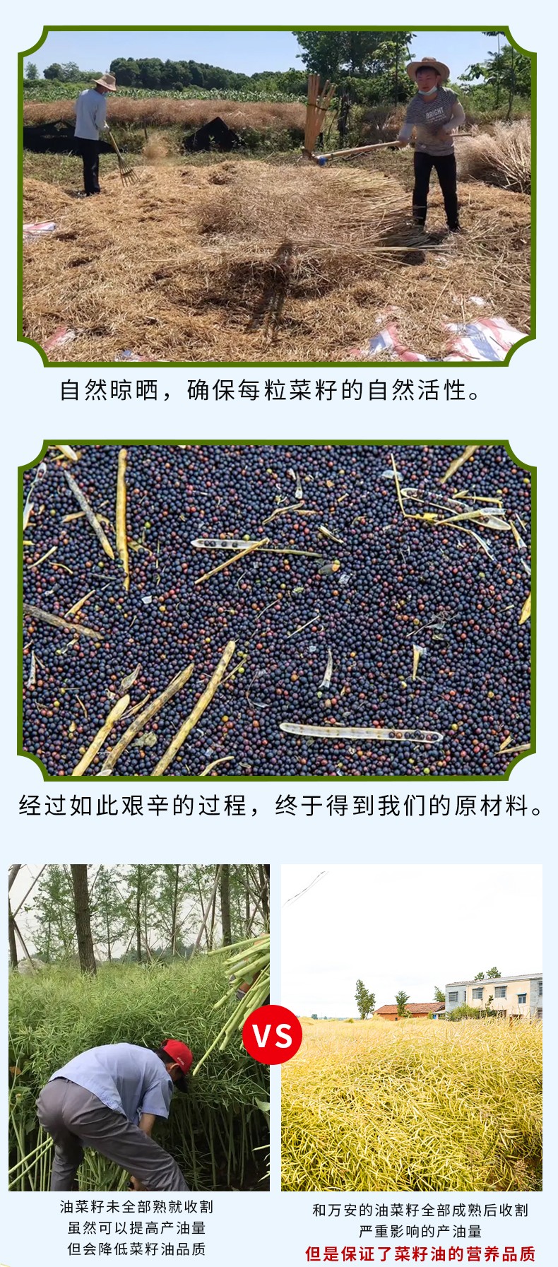 和万安|生态农业|有机食物|绿色食物|稻田共养
