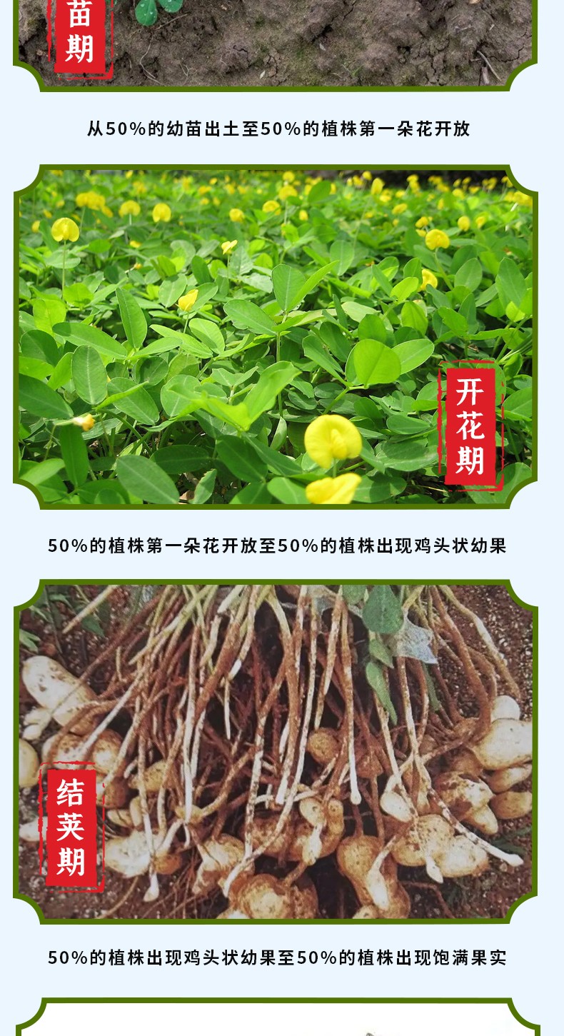 和万安|生态农业|有机食物|绿色食物|稻田共养